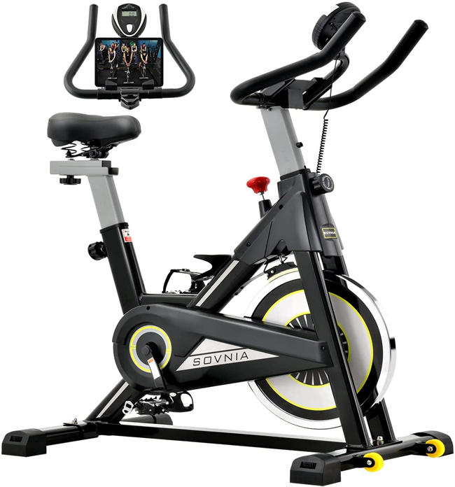 Exercise Bike, Indoor Cycling Bike with iPad Holder, LCD Monitor and Comfortable Seat Cushion, 330 Lbs Weight Capacity