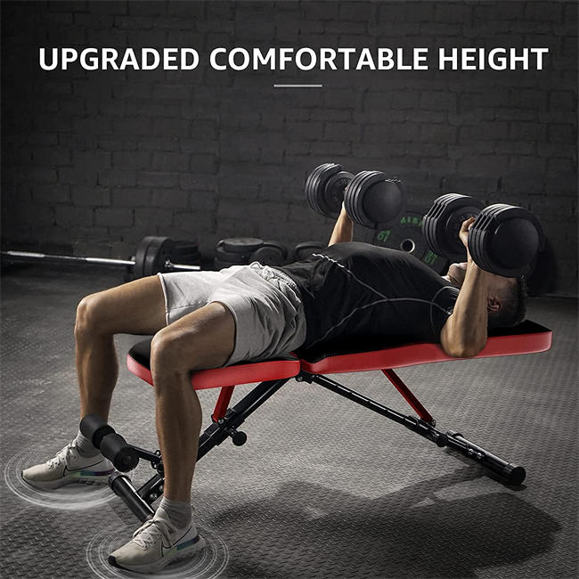 Workout Bench, Adjustable Weight Bench Foldable Strength Training Bench for Home Gym - Newly Upgraded