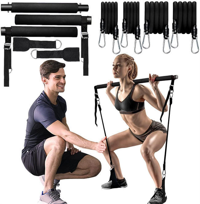 Adjustable Pilates Bar Kit with Resistance Bands,Portable Yoga Exercise Sticks&2 Sets Stackable Resistance Bands for Toning Muscle,Legs,Butt.Stretched Fusion Pilates Home Gym