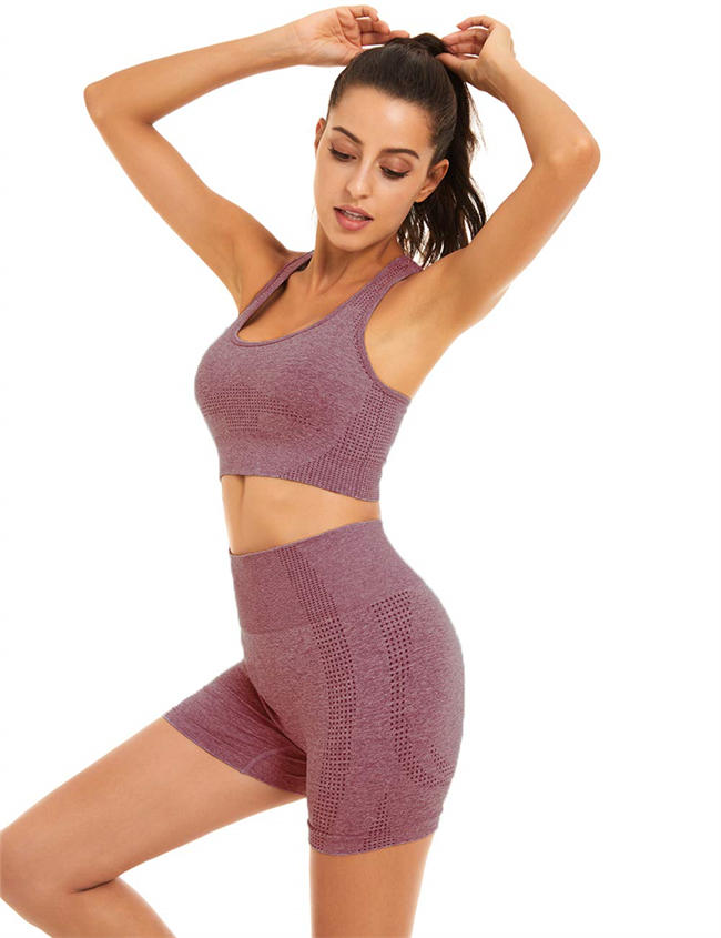 Women Seamless Yoga Workout Set 2 Piece Outfits Gym Shorts Sports Bra
