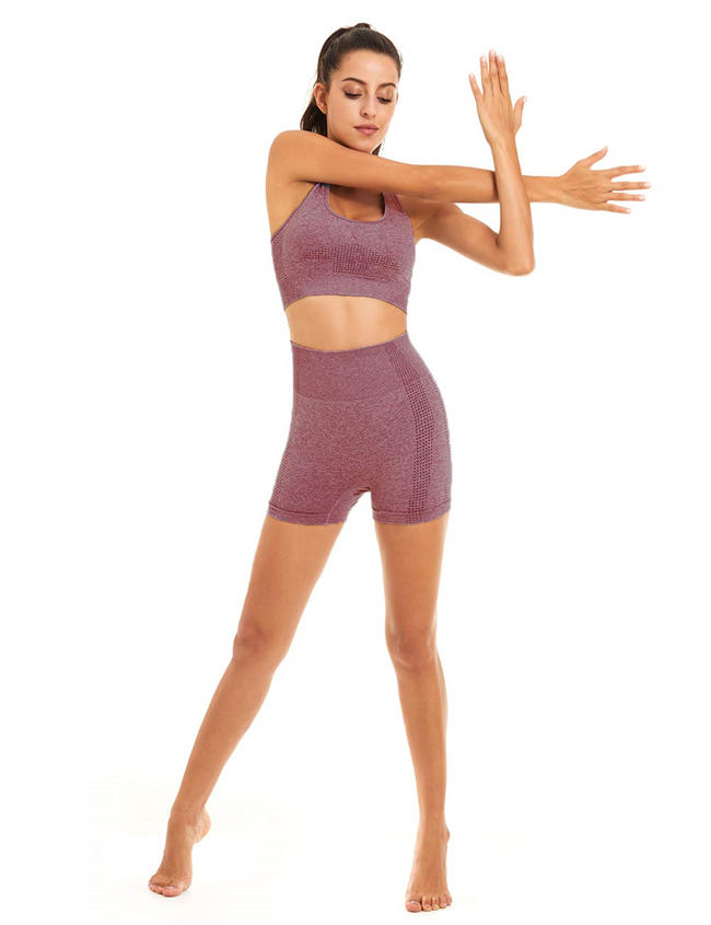 Women Seamless Yoga Workout Set 2 Piece Outfits Gym Shorts Sports Bra