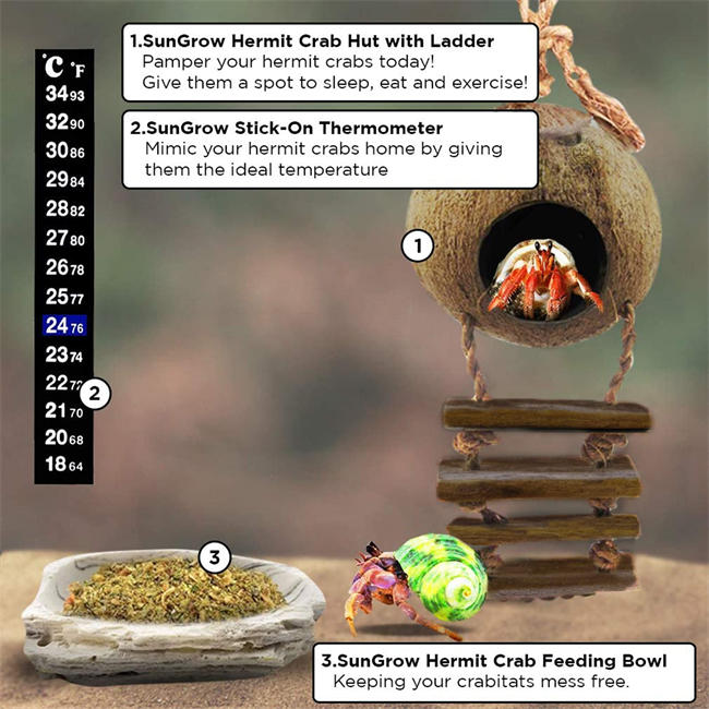Hermit Crab Coco Hut with Ladder, 5” Diameter, 2.5” Opening, Cave Habitat with Hanging Loop