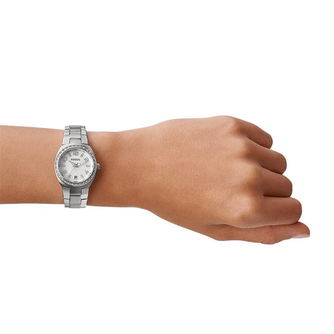 Womens Serena Colleague Quartz Stainless Steel Three-Hand Date Watch, Color: Silver Glitz (Model: AM4141)